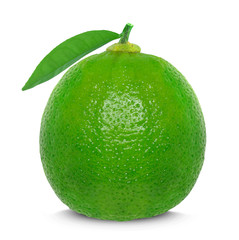 lime