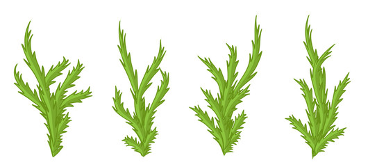 Green plants, bushes vector set.