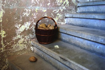 Retro stylized photo of raw potatoes in basket on stairs