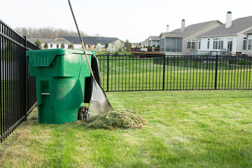 Raking lawn clippings on a suburban estate - 81944464
