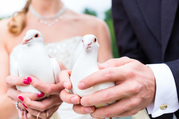 Brautpaar bei Hochzeit mit weißen Tauben