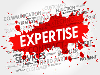 Expertise related items words cloud, business concept