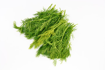 Dill on a white background