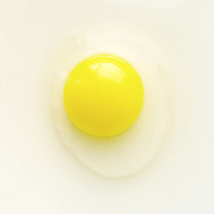Yellow egg.