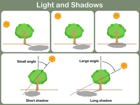 Leaning light and shadow for kids -  Worksheet