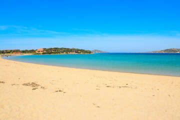 Fototapeta na wymiar Porto Pollo beach on a clear summer day