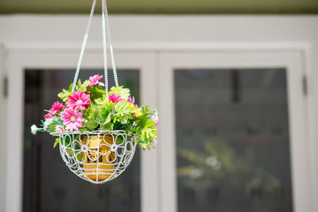 Hanging basket of flowers