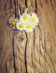 Lovely bouquet of daisies field on rustic wooden surface