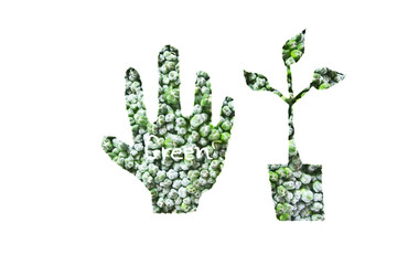 Broccoli, draw hand shape and plant