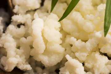 Organic probiotic milk kefir grains