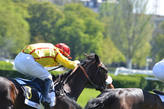 cheval de course