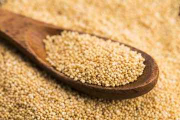 White poppy seeds