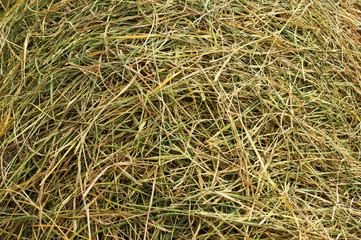 fresh straw background