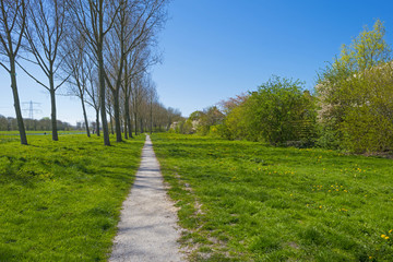 Fototapeta na wymiar Footpath through a park in spring