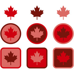 Maple leaf flat design