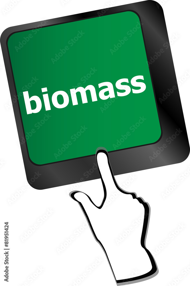 Poster keyboard keys with biomass word button vector