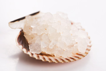 Water kefir grains