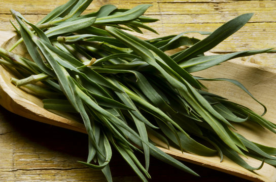 Silene vulgaris Bladder campion Sclopit Смолёвка