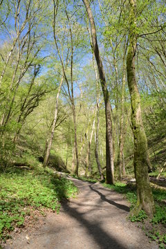 Landschaft in Deutschland