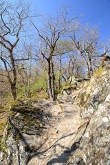 Landschaft in Deutschland