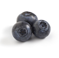 blueberries on a white background