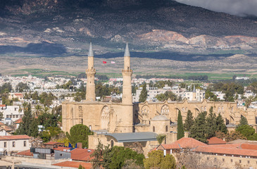 Nicosia City View
