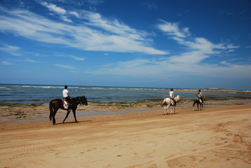 Cheval sur la plage