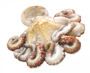 Polpo fresco crudo