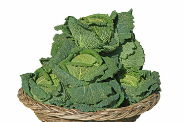 Pani&egrave;re de choux fris&eacute;s