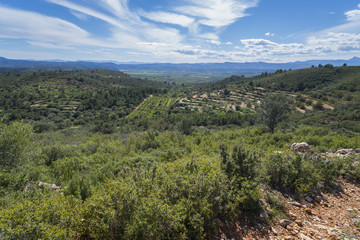 Fototapeta na wymiar Montañas de Castellón interior (España).