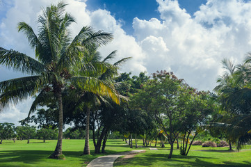 Obraz premium Golf course in Dominican republic. field of grass and coconut