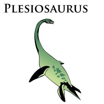 plesiosaurus dinosaur colored illustration