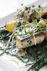 plated seabass with scallops and samfire meal