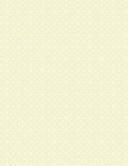 Fototapeta premium Pattern background