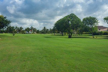 Fototapeta na wymiar Golf course in Dominican republic. field of grass and coconut
