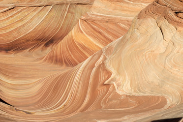 The Wave detail, Paria Canyon, Arizona