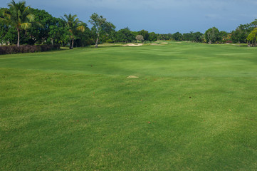 Golf course in Dominican republic. field of grass and coconut
