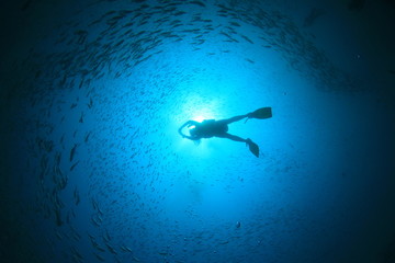 Scuba diver silhouette backlit
