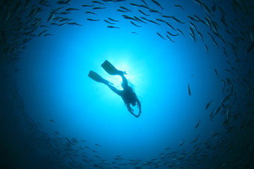 Obraz na płótnie Canvas Scuba diving silhouette and fish