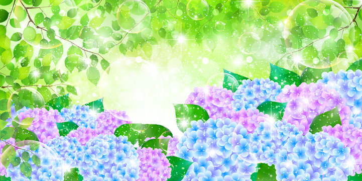 76 148 Best 梅雨 Images Stock Photos Vectors Adobe Stock