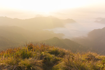 Pu Chi Fa - Chiangrai Thailand