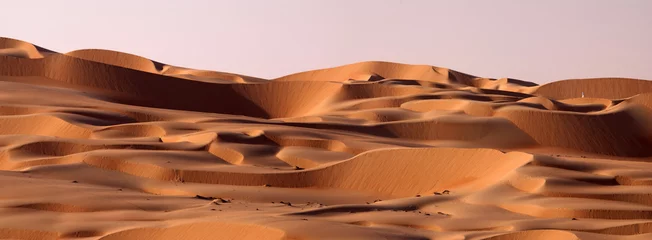 Wall murals Abu Dhabi Abu Dhabi dune's desert