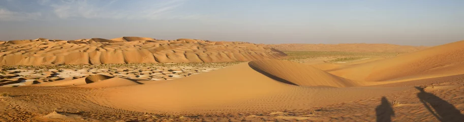 Crédence de cuisine en verre imprimé Sécheresse Abu Dhabi dune's desert