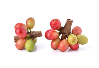 Raw coffee beans isolated on white