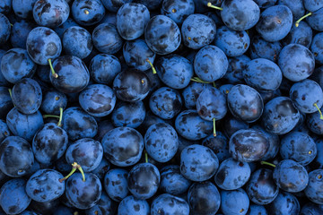 Ripe Plums Background