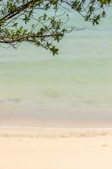 Beach and blue sea