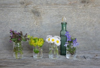 heilkräuter © behewa