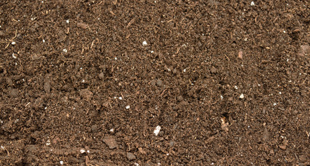 Organic soil close up
