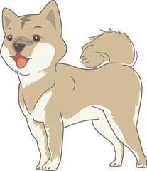 Dog Shiba (Real)