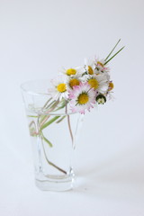 Little flowers in vase